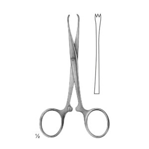 Abdominal Sugery Intestinal and Rectal