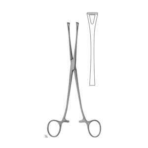 Abdominal Sugery Intestinal and Rectal