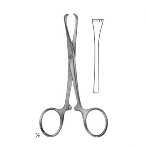Abdominal Sugery Intestinal and Rectal