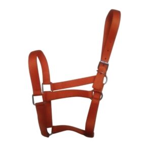Halters & Reins