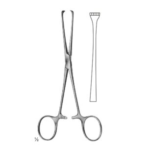 Abdominal Sugery Intestinal and Rectal
