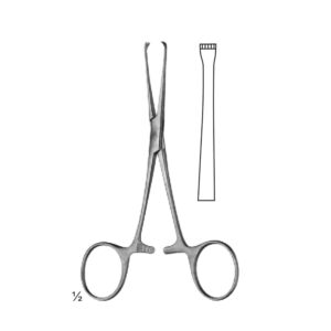Abdominal Sugery Intestinal and Rectal
