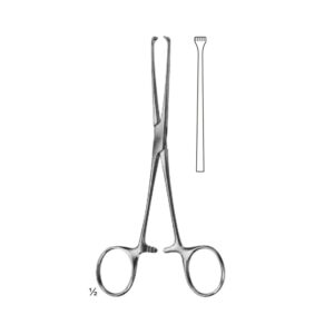 Abdominal Sugery Intestinal and Rectal
