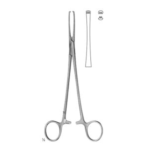 Abdominal Sugery Intestinal and Rectal