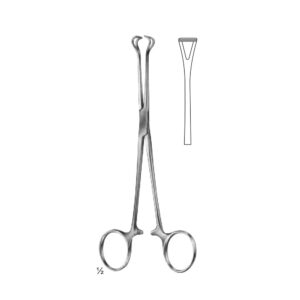Abdominal Sugery Intestinal and Rectal