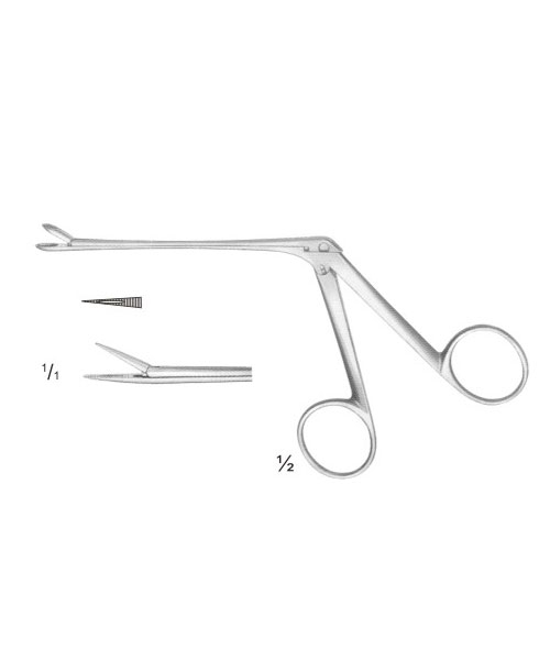 Biopsy Instruments And Curttes